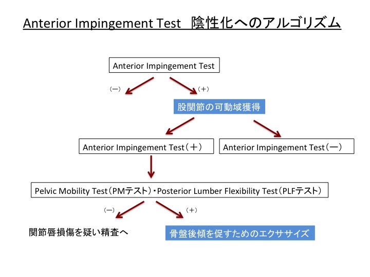 現場で使える 股関節インピンジメント Fai のリハビリテーションの進め方 理学療法士の働き方改革