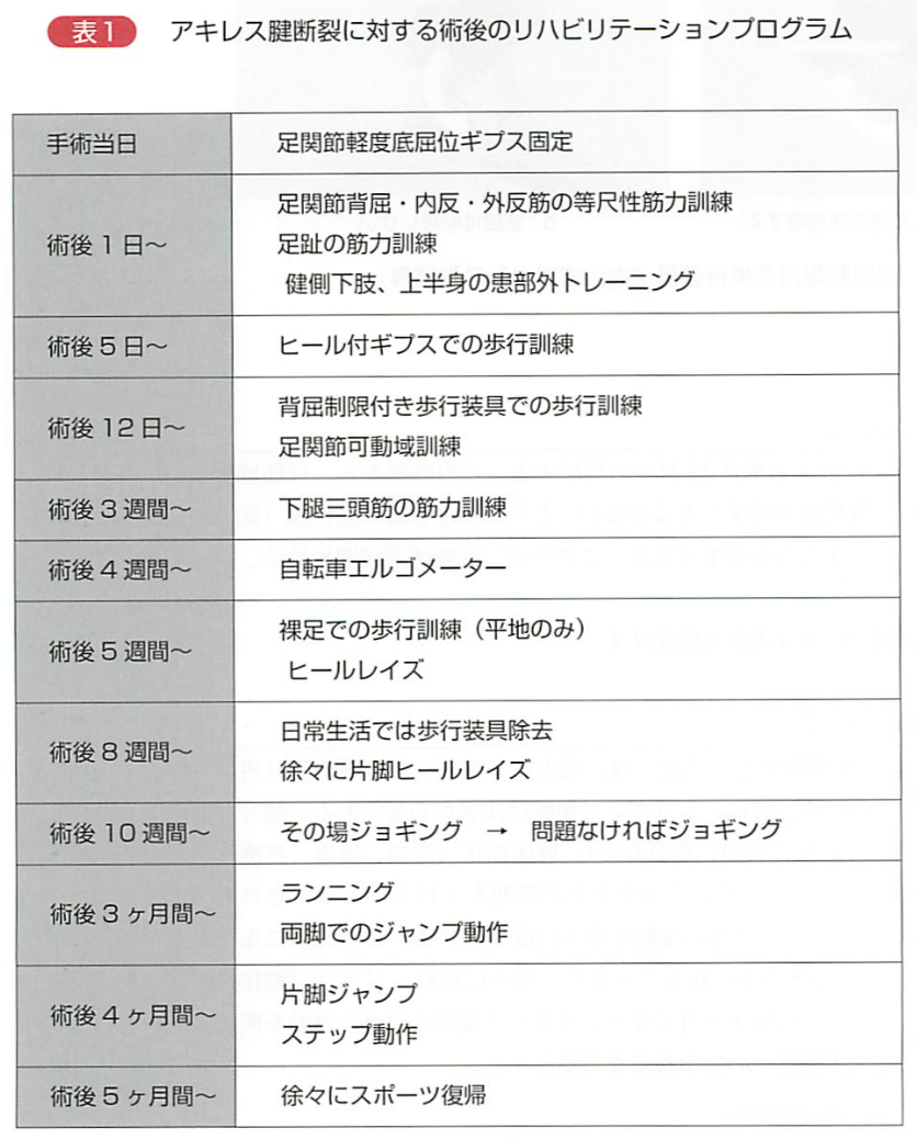 理学療法士必見 アキレス腱断裂術後の癒着アプローチの重要性 理学療法士の働き方改革